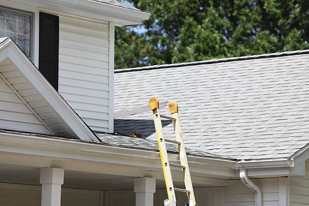 Affordable Siding Repair and Maintenance Services in Vidalia, GA